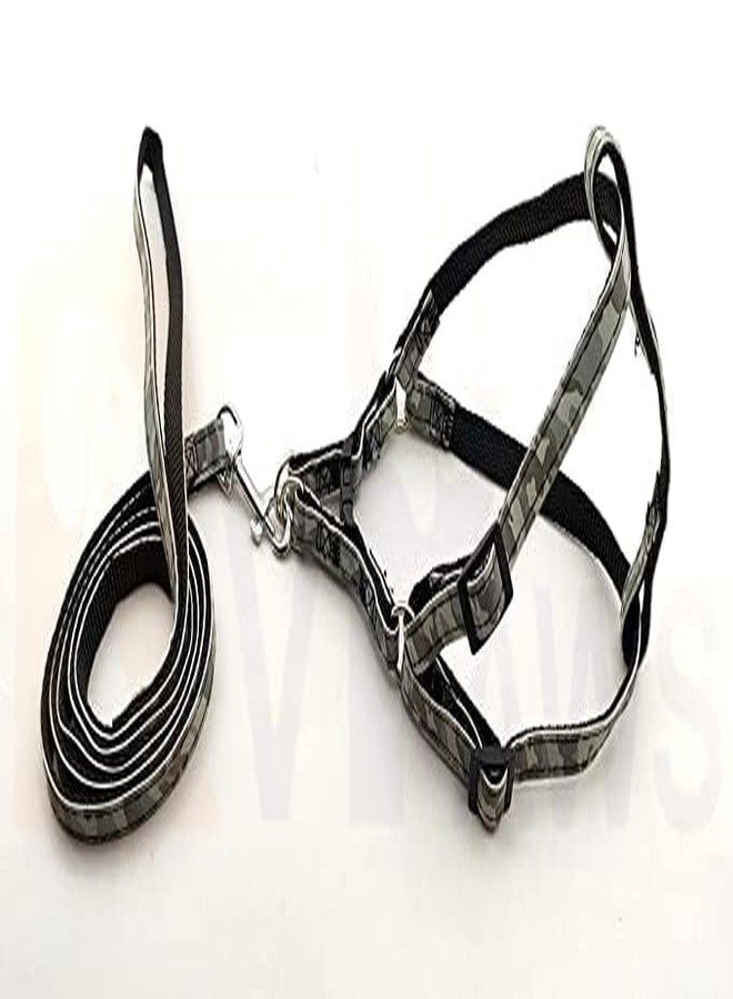 Pups&Pets سترة مبطنة من النايلون 10 مم قابلة للتعديل مع حزام مطبوع بنمط شريطي ومقود طويل، مثالية للمشي في الهواء الطلق/تدريب الكلاب والجراء (أسود) - Image 1